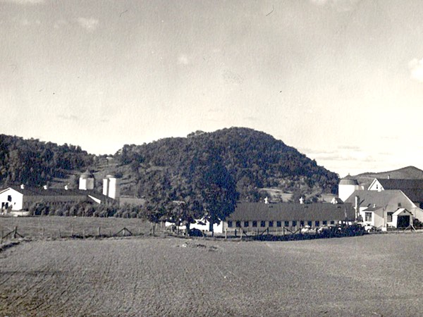 12/14Sunny Valley Farm, 1950s. The building in the foreground housed a milking herd, and attached to the right side of it was a bottling plant.  USED BY PERMISSION OF THE NATURE CONSERVANCY-SUNNY VALLEY