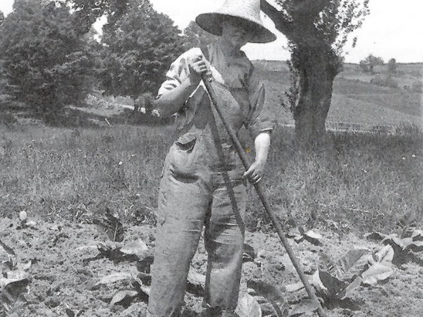 14/14New Milford’s tobacco farmers eagerly participated in the Women’s Land Army program during World War I. Young women, many of them college students and teachers, volunteered for needed farm work. Forty women, mostly from Greater Hartford, spent the summer of 1918 “hoeing smokes” in New Milford tobacco fields.   COURTESY OF VIRGINIA MCLOUGHLIN
