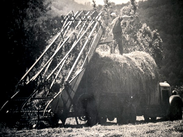 9/14Picking up dried hay from a field, before the use of a baler, 1930s.  USED BY PERMISSION OF THE NATURE CONSERVANCY-SUNNY VALLEY